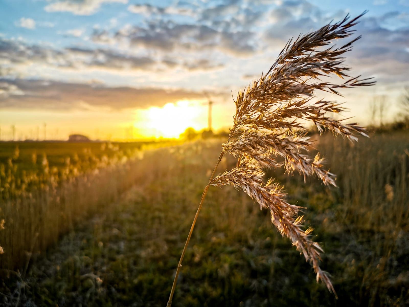 Nordseeküste bei Sonnenuntergang