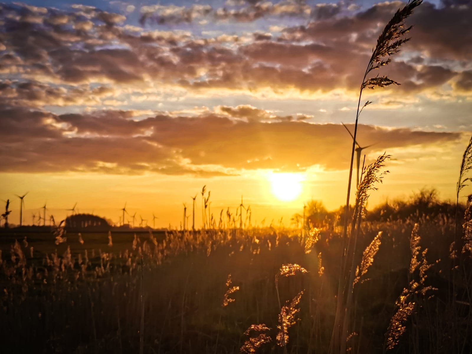 Sonnenuntergang an der ostfriesischen Nordseeküste